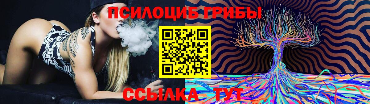 Псилоцибиновые грибы GOLDEN TEACHER  закладка  Псилоцибиновые грибы мицелий  Карпинск  Вход с VPN 